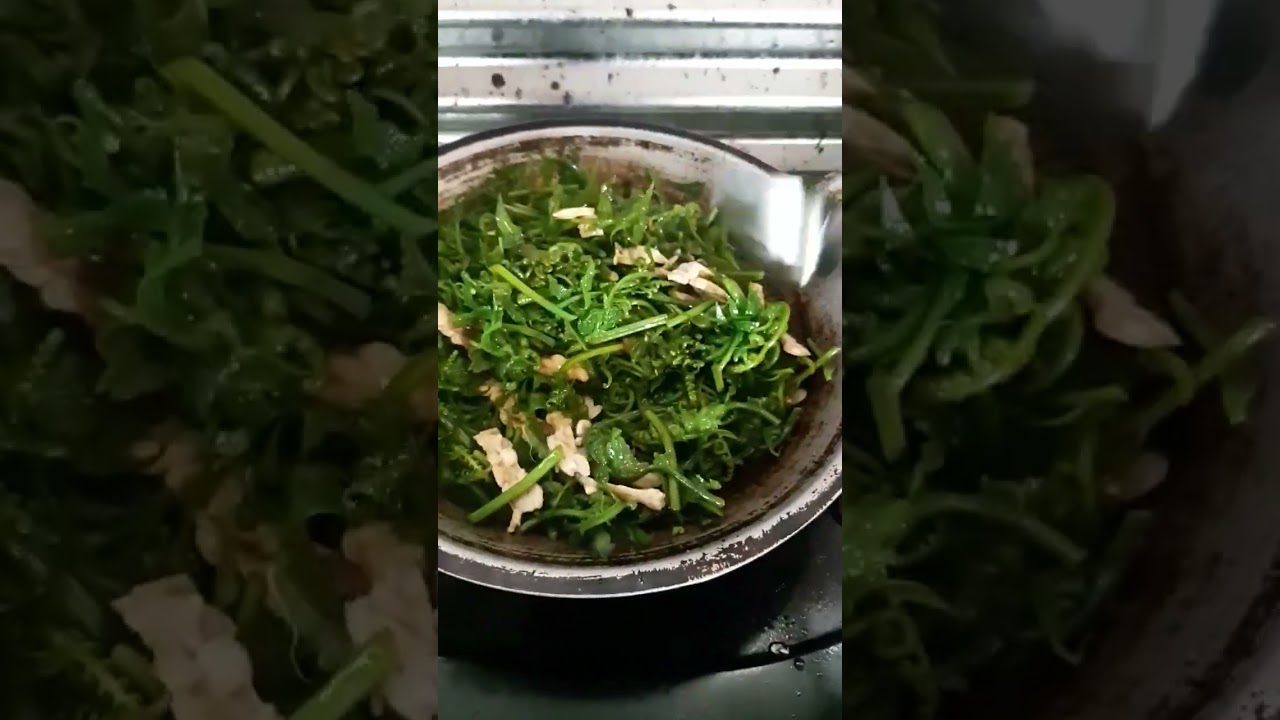 tumis sayur pakis 