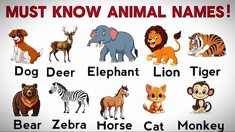 70 Animal Names in English | Common Animals with Pictures