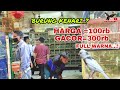 Update Harga Burung Kenari 2021||Kenari AF,Kenari F1,Kenari F2,kios Kasmin Pasar Burung Pramuka