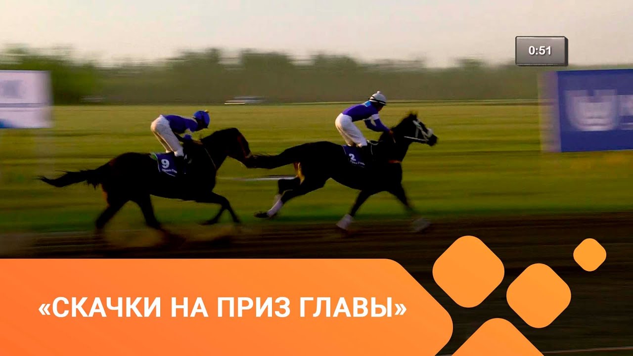 «Скачки на приз главы» (28.06.21)