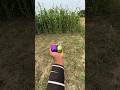 mini speaker phasa ltesting