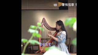Walter 23string harp