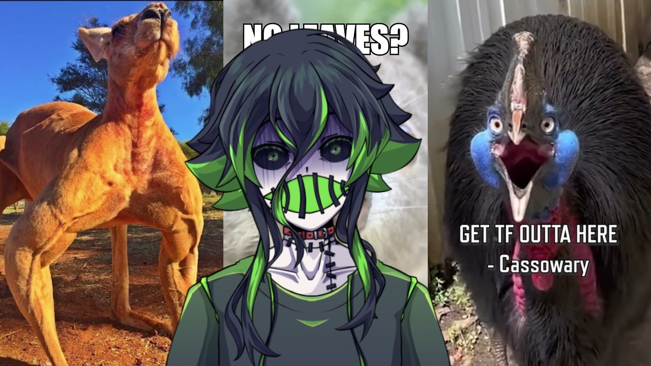 HOW IS AUSTRAILIA EVEN REAL! (I STILL AIN'T GOIN THERE) | MOREPARZ REACTION