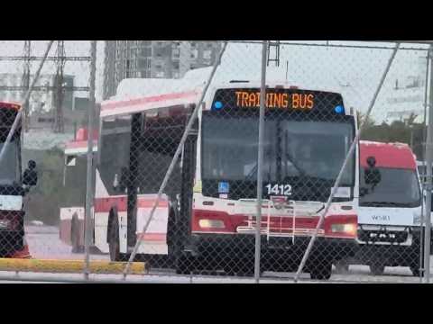 Video shows TTC bus being taken for joyride