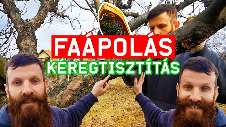 FAÁPOLÁS: a kéregtisztítás, avagy a kefélés jótékony hatásai