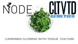 CLTVTD Genetics {powered by Node Labs}