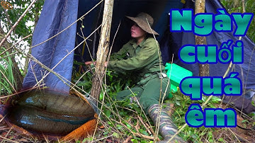 Câu cá lóc mùa mưa bão