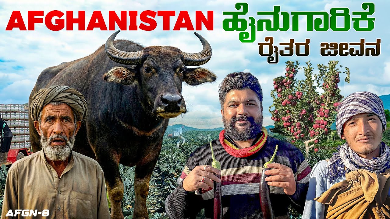 ಹಳ್ಳಿಯ ಜೀವನ ಹೇಗಿದೆ ಗೊತ್ತಾ? Real village life in Afghanistan will Amaze you | Global Kannadiga 