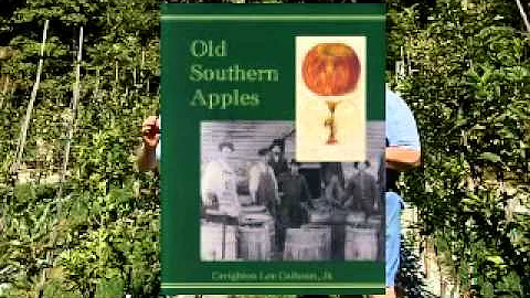 Old Southern Apples