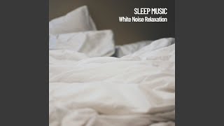 White Noise Study Loop