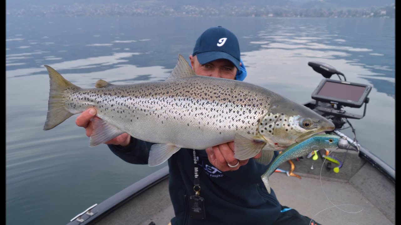 TRUITE LACUSTRE EN CHERCHANT LE BROCHET YouTube