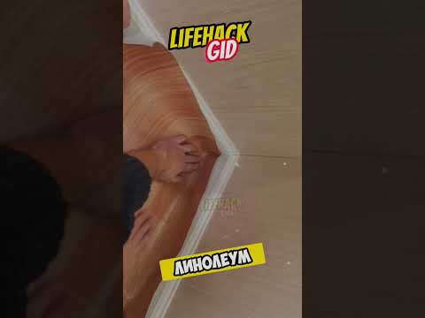 Универсальные советы для дома. Больше интересного в телеграм #lifehacks #diy #tools #tips #shorts