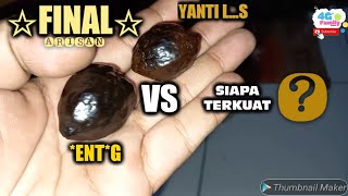 ADA JUARA BERTAHAN,SIAPA? ARISAN ADU MUNCANG