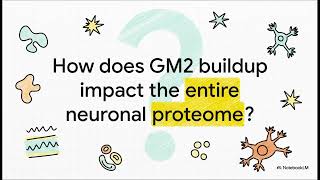 Plasma Membrane Remodelling In Gm2 Gangliosidoses Drives Synaptic Dysfunction