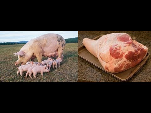 Video: Nini Kupika Na Nyama Ya Nguruwe