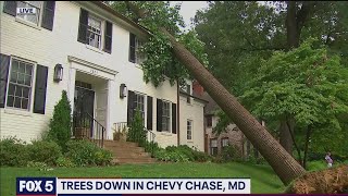 Trees cause major damage in Maryland after storms roll through | FOX 5 DC