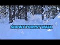 Snowy Forest Walk ❄️ 8 Minutes of Crunching Snow & Calm Winter Sounds