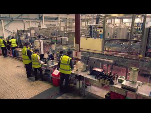 A day in the life of the Hall & Woodhouse Brewery
