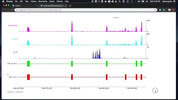 Generate and modify interactive plot Figure 1A using trackViewer