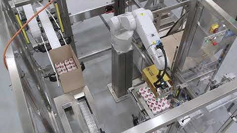 Robotic Box Erecting and Case Packing