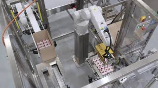 Robotic Box Erecting and Case Packing