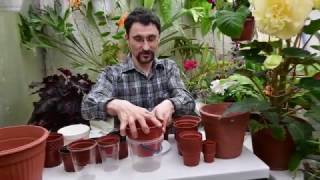 видео: Горшки для цветов картинка: Горшки для цветов