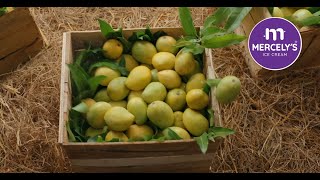 Pure Mango Bliss With Mercelys Alphonso Mango Bar