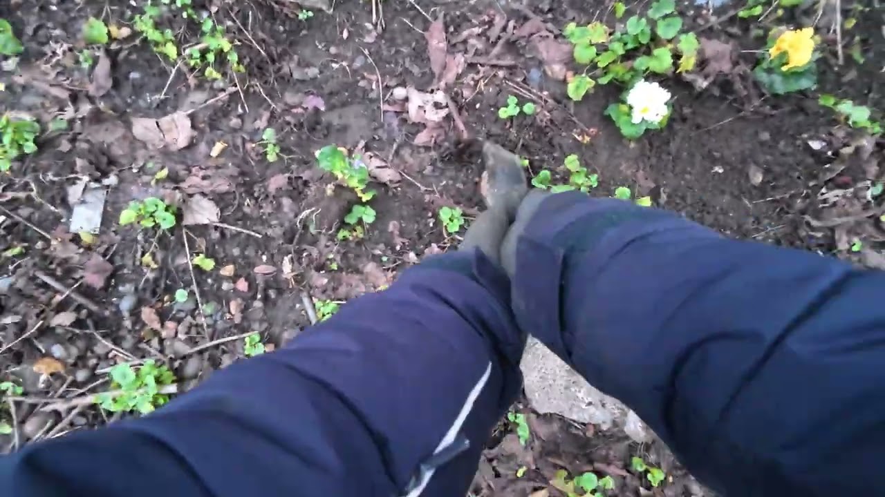 Fighting litter with flowers