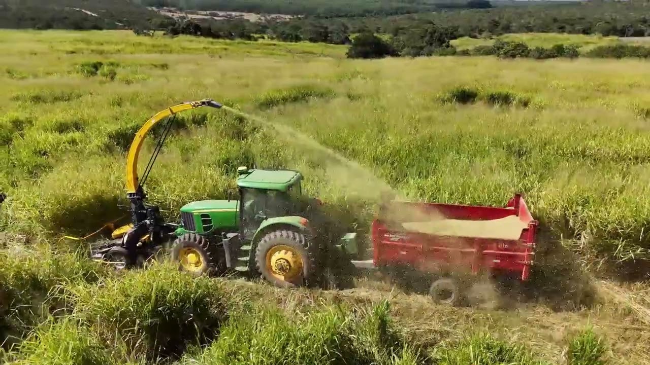 Testando Colhedora JF 2300At com Hidraulico Frontal