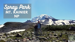 Look Who We Found on Mount Rainier's Spray Park Trail! | Hiking with Kids: Western Washington