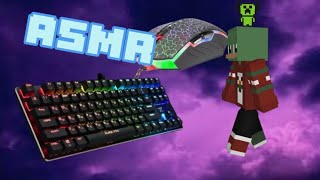 asmr bed wars keyboard+mouse on hypixel