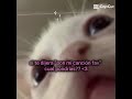 es muy obvio JSJS