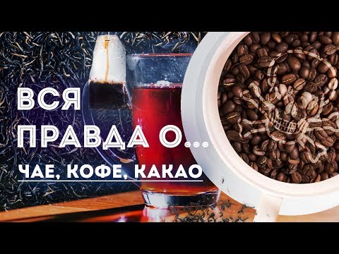 Вся правда о… чае, кофе, какао