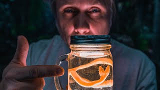 MY TWO HEADED SNAKES DIED... THE STORY BEHIND BEN and JERRY!! | BRIAN BARCZYK