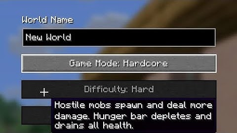 Minecraft Hardcore Should Be Locked...