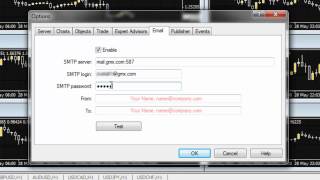 How to Setup the Email and Text function in MT4