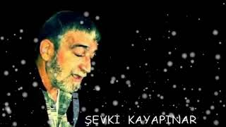 Şevki̇ Kayapinar-Düşme Şi̇i̇r Sansürsüz 18