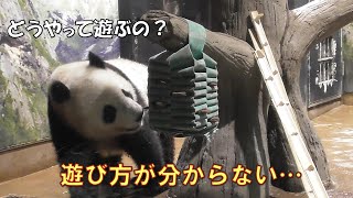 5/28シャオシャオおやつBOXと上手に遊べない？まだまだ練習が必要なようですgiantpanda @tokyo 上野動物園 by _ pandalife 1,967 views 5 days ago 17 minutes