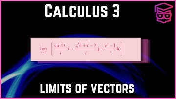 Hoe de limiet van een vector te vinden - Calculus 3