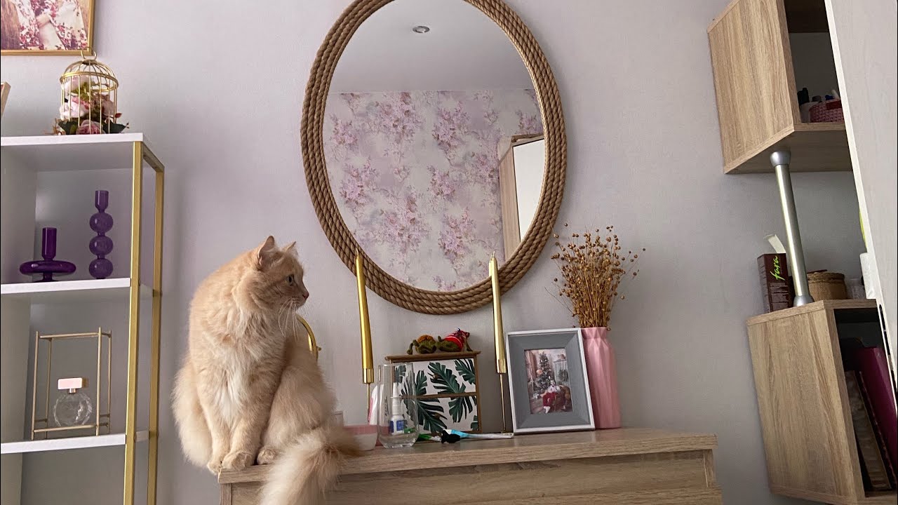 Новый вложик 🤗 обычные будни 🕊️