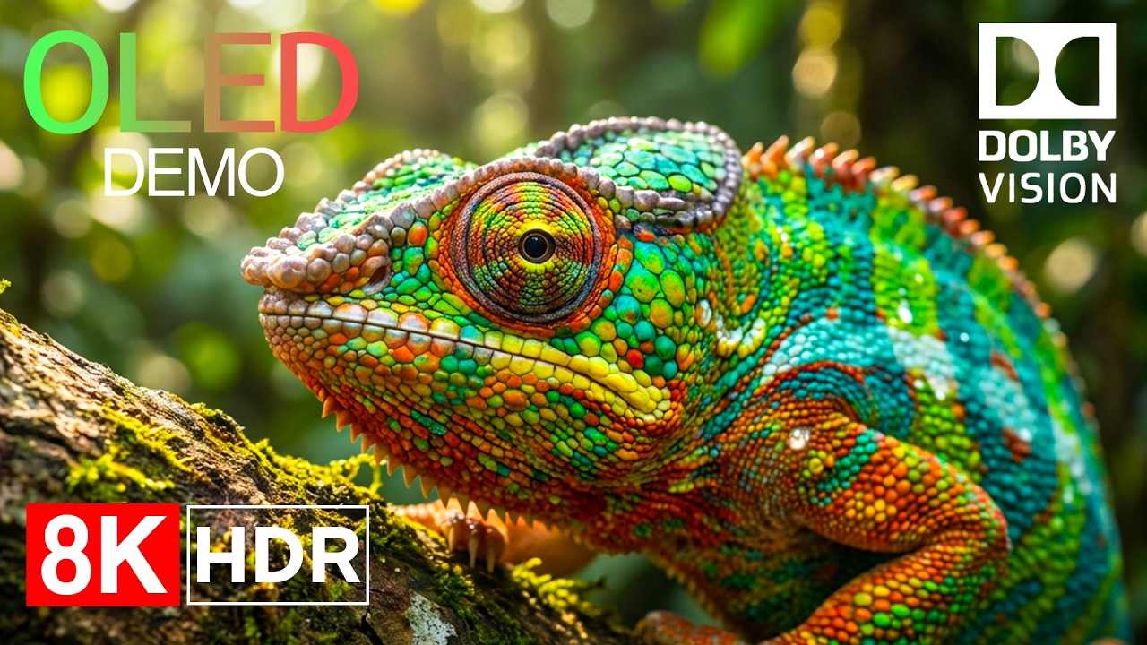 Wild Animals 8K HDR 60FPS | Ultra Realistic Dolby Vision Nature Video for 4K & 8K TV Screens