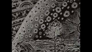 Andromeda - Return To Sanity