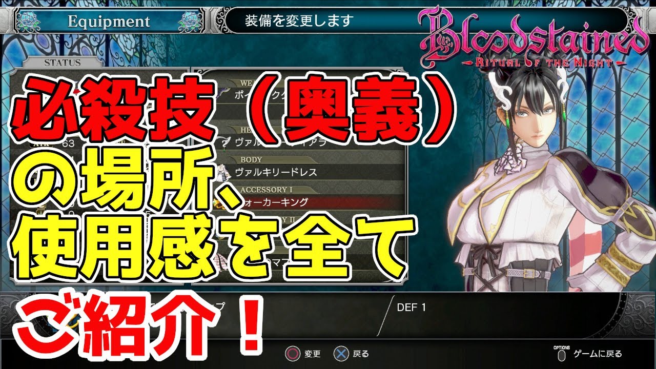 【ブラッドステインド　リチュアルオブザナイト】必殺技（奥義）記載の日記の場所、使用感のご紹介です！　Blood stained:  RitualoftheNight