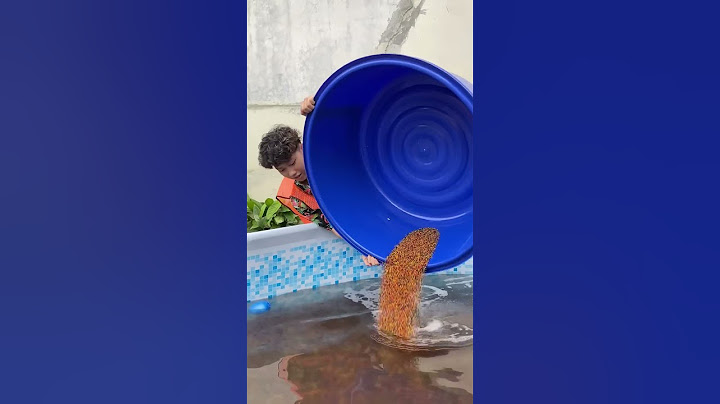 KOLAM RENANG BOBA JADI!! PART 2!!