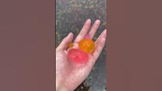 KOLAM RENANG BOBA JADI!! PART 2!!