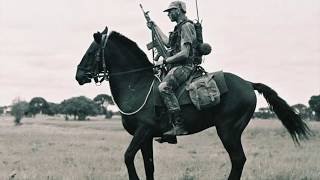 Rhodesian Bush War - In the Name of Grey