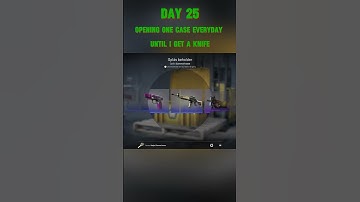 Day 25 of opening a case every day, until I get one