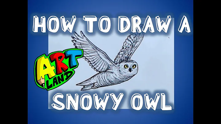How to Draw a SNOWY OWL