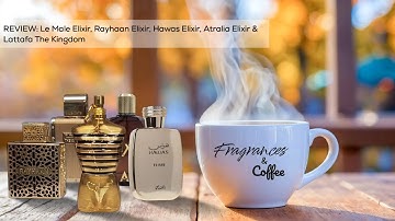Review of Le Male Elixir, Rayhaan Elixir, Atralia Elixir, The Kingdom, & Hawas Elixir. 