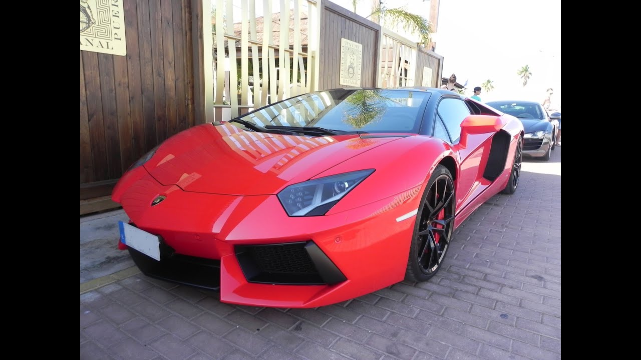 Elite car аренда авто